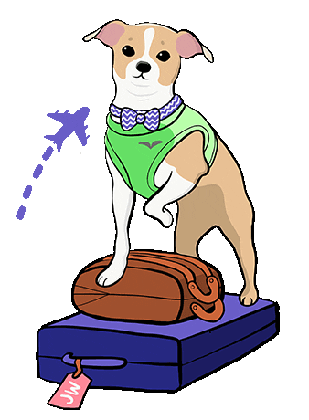 Illustration of a light brown and white dog wearing a green vest, standing proudly on a suitcase at the vet's office, with a sparkle above its tail, suggesting readiness for travel.