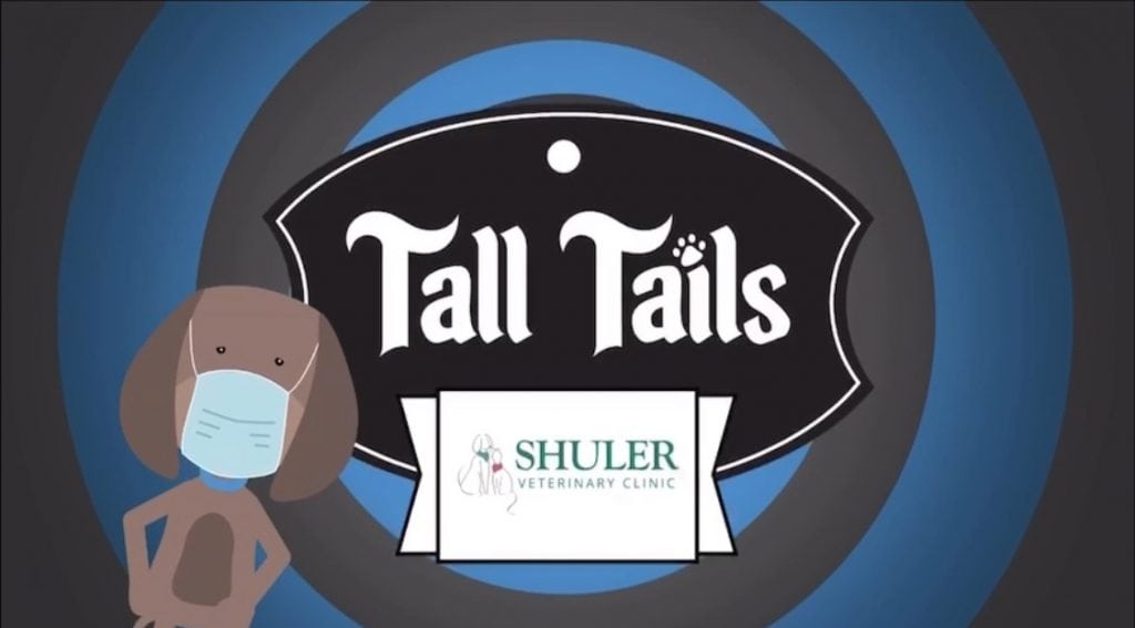 Illustration of a veterinary clinic sign labeled "tall tails" featuring a cartoon dog wearing a mask next to the sign for shuler veterinarian clinic.