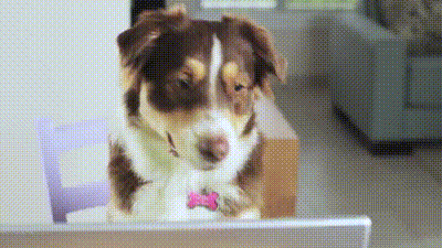 Alli GIF