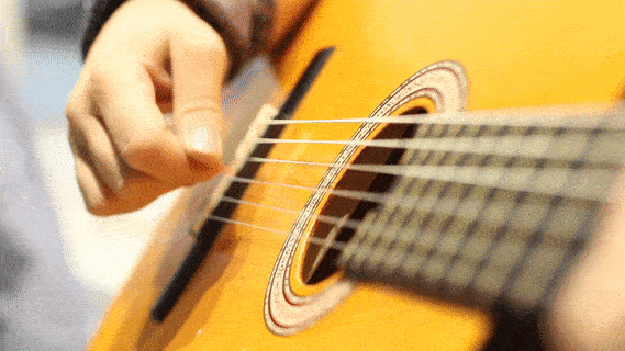 Albert GIF