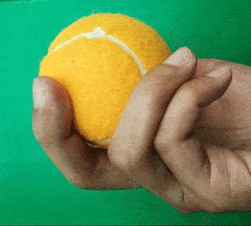 Kevin Shuler, DVM GIF