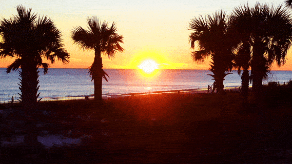 Marian Shuler Holladay, DVM GIF