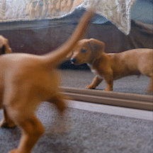 Kendreia GIF