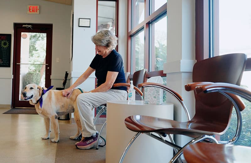Cat Being Weighed | Vet In Mount Pleasant SC | Mount Pleasant Animal Hospital