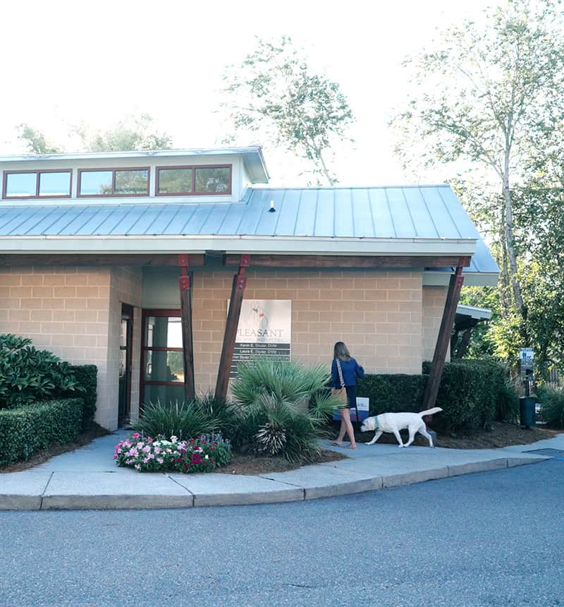 Veterinary Hospital Building | Vet In Mount Pleasant SC | Mount Pleasant Animal Hospital