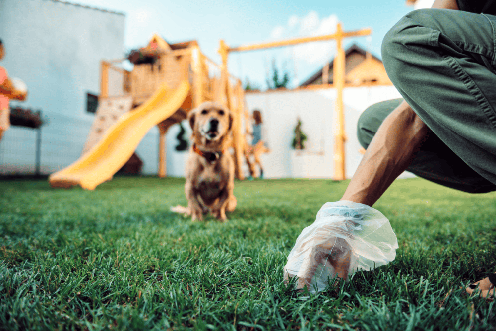 Scooping Dog Poop | Worms in Dog Poop | Mount Pleasant Animal Hospital | Mount Pleasant SC