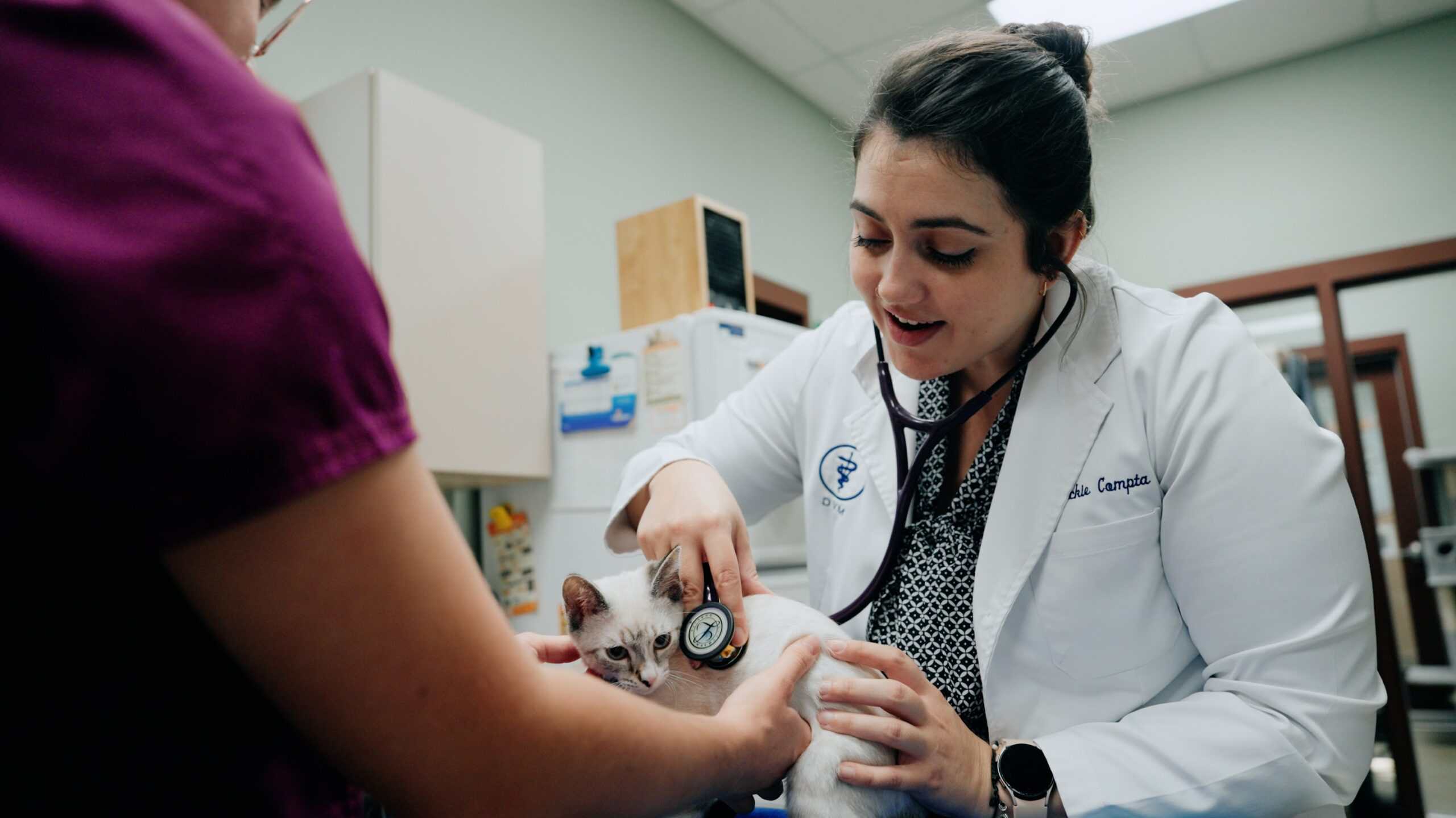 Cat and Dog Vaccinations in Mt Pleasant SC