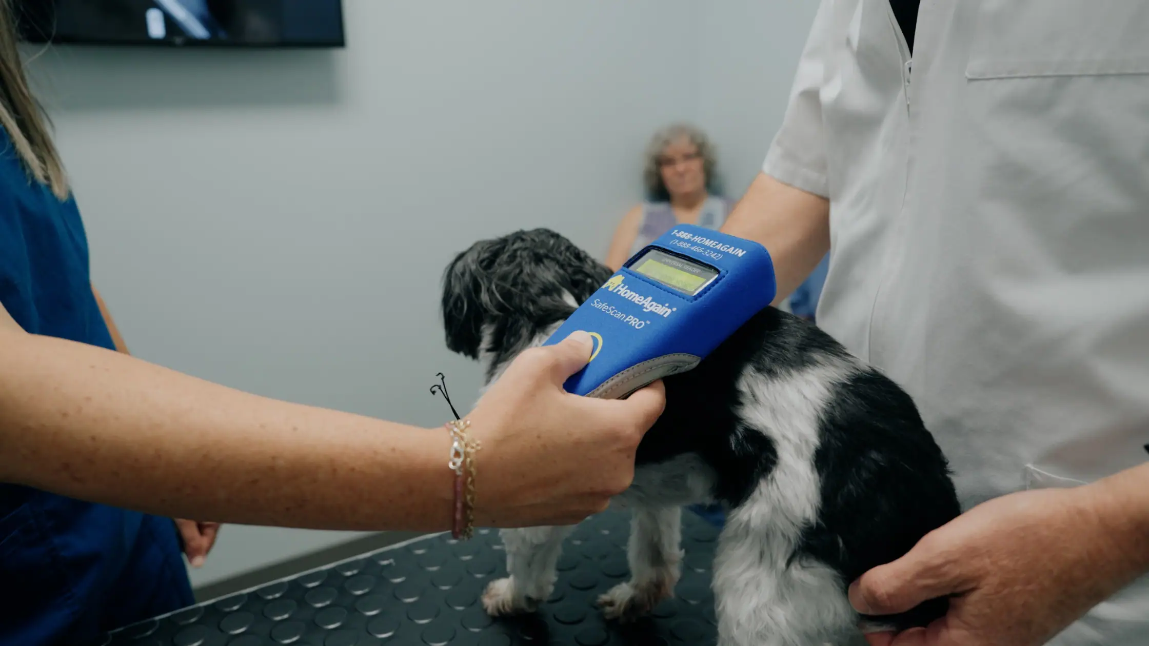 Dog Microchipping Benefits