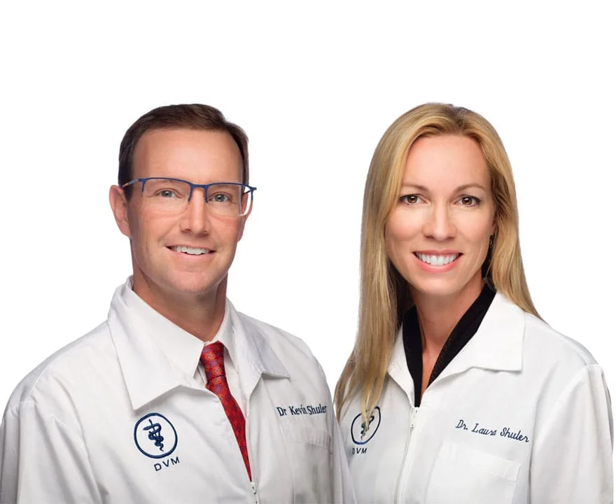 doctors shuler, dvm