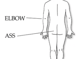 A diagram illustrating the labeled elbow and ass regions to promote health and wellness through manual therapy for recovery.