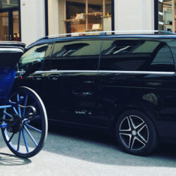 Mercedes classe v