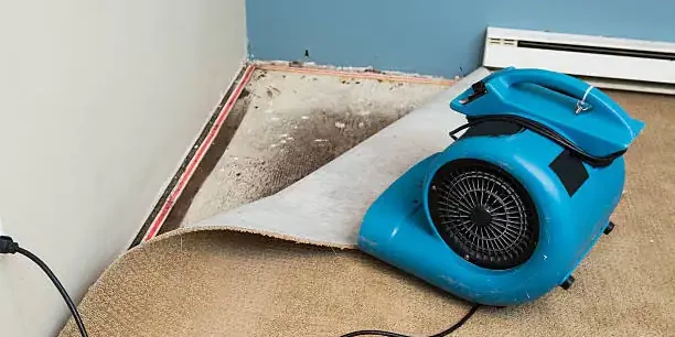 Restoration-Services