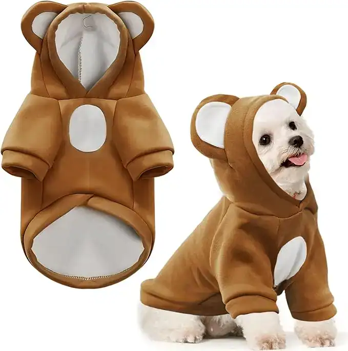 Small dog wearing an adorable brown bear hoodie – cute puppy sweater and funny pet costume for cold days