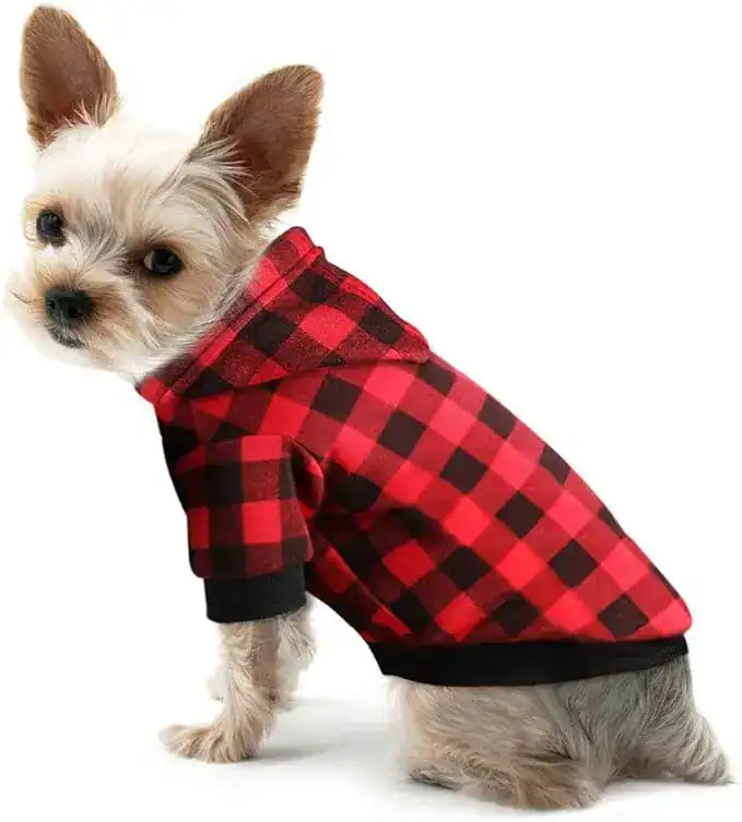 Yorkie puppy in a red plaid hoodie – cozy dog jacket for small dogs during fall and winter