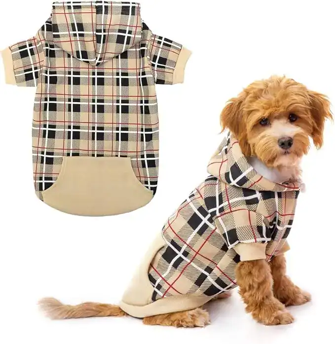 Golden brown furry dog sitting with a plaid style sweater with a hoodie. Plaid colors are black, white, tan and red