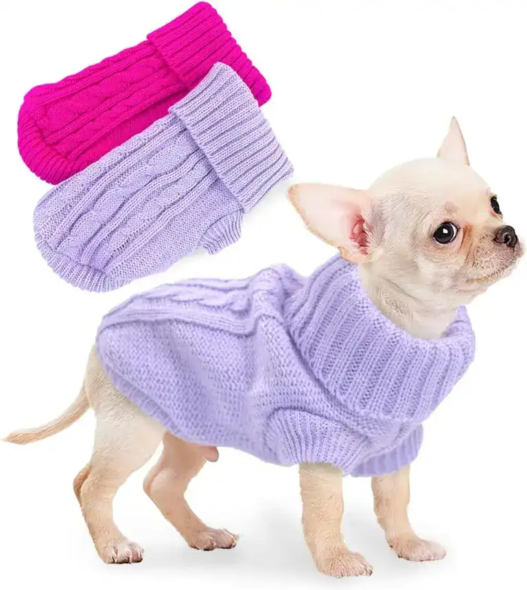 Chihuahua wearing a lavender turtleneck dog sweater – cute puppy knitwear for small dogs in winter