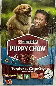 Purina Puppy Chow Tender & Crunchy puppy food bag with real beef and rice — featured as one of the best puppy food 2025 options for healthy growth and digestion.