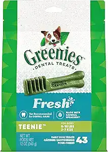 Greenies Teenie dental treats for small dogs – vet-recommended daily chews that freshen breath and support oral health.