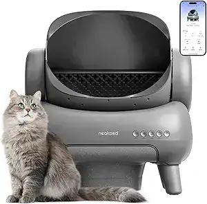 Gray cat next to a gray automatic cat litter box