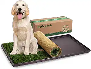 CLICK HERE. Fresh Patch Real Grass Patch for Dogs, Cats, and Extra Large Pets 30 Pounds and Above – Disposable Pet Grass Pee Pads with Tray – Indoor and Outdoor Potty Training Mat
