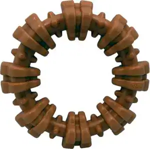 Nylabone ring-shaped chew toy for strong dogs, built for durability.