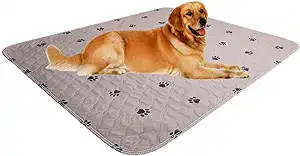 A sustainable option, these super absorbent, reusable pads come in various sizes to accommodate dogs of all breeds and life stages.