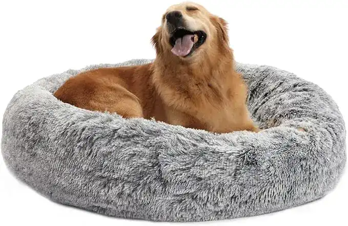 large golden retriever in gray calming bed