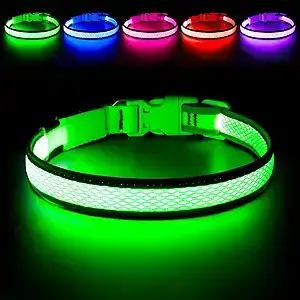 green LED dog collar found on amazon