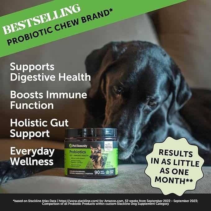 Probiotic chew brand packaging showing a dog, promoting digestive health, immune support, and everyday wellness for dogs.