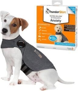 ๐ถ Dog Anxiety Relief: Calming Crates, Comfort Aids & Toys That Help 33 Small dog wearing a ThunderShirt anxiety wrap โ one of the best natural calming dog aids for stress and separation anxiety.