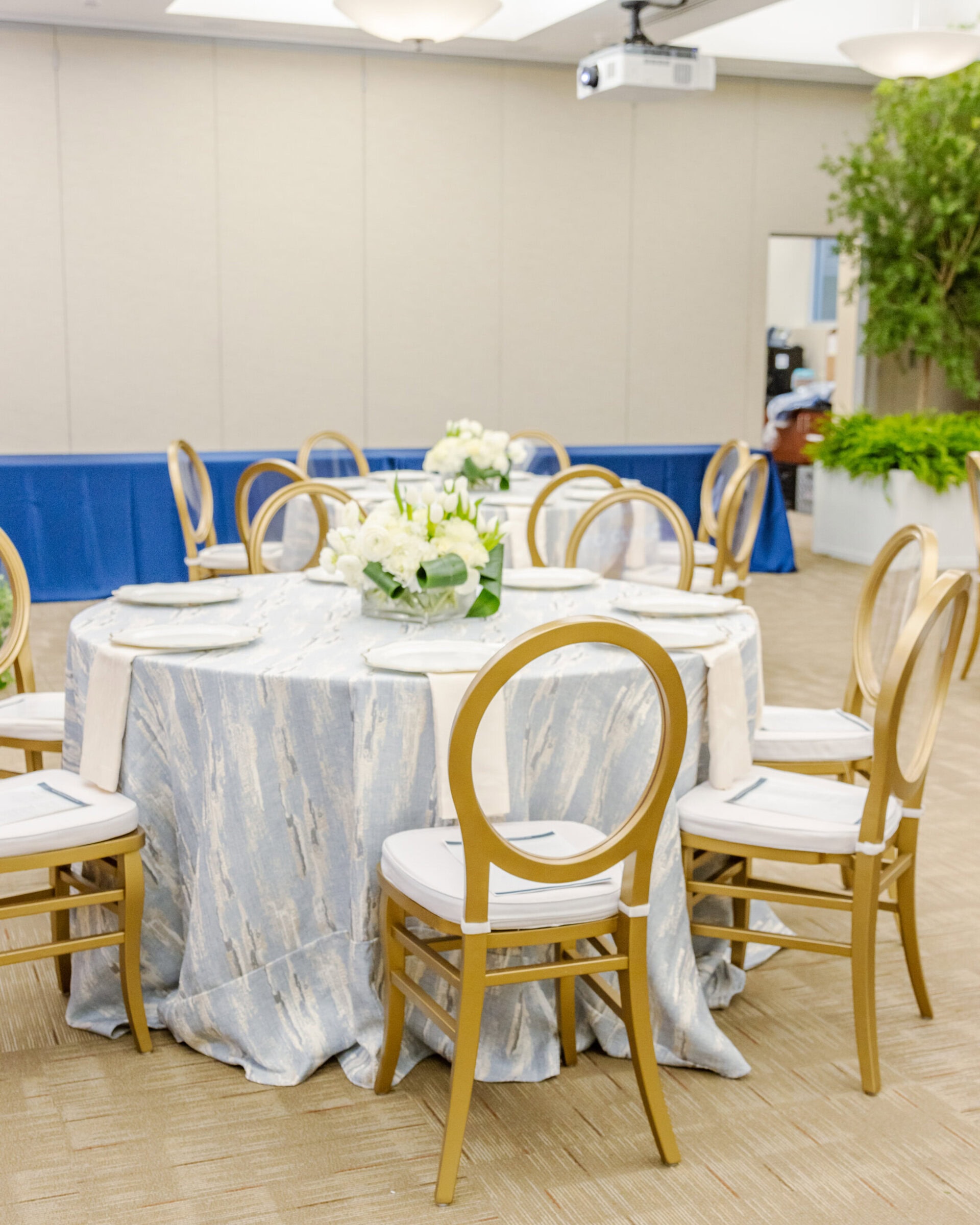 Gold_O_Chairs_Elegant_Dining_Chair_Rental_Jacksonville