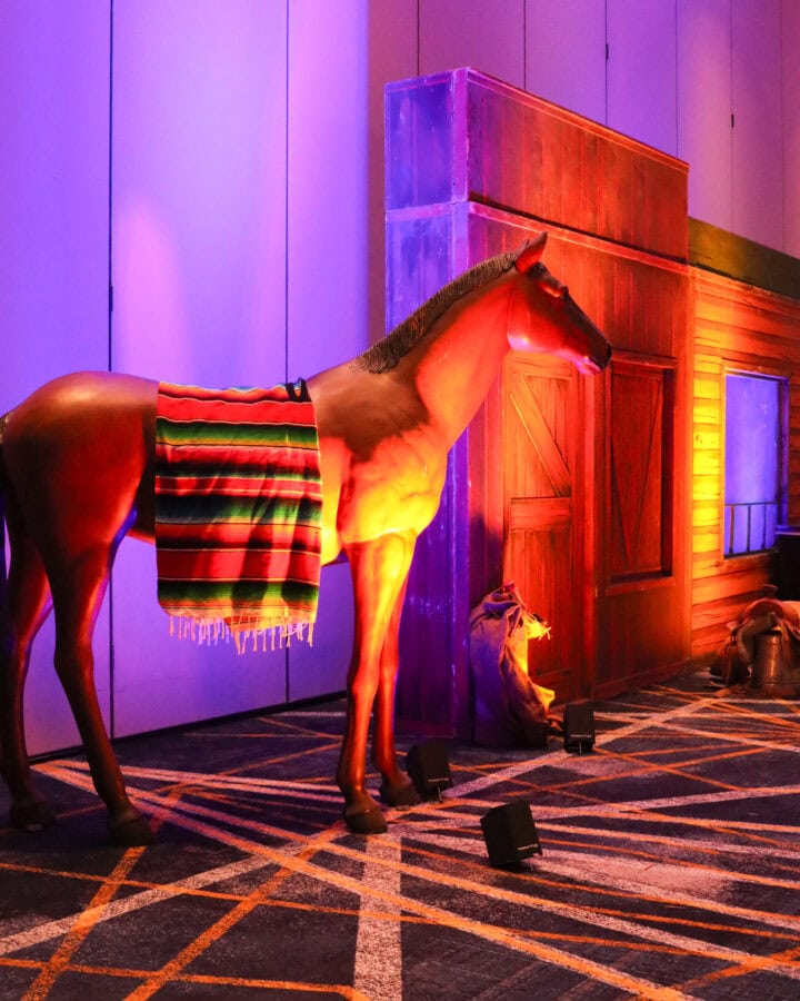 Western_Horse_Event_Props_Decor_Jacksonville