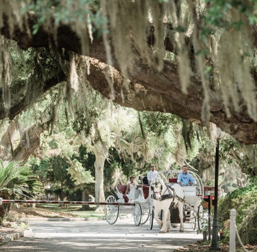 Wedding Planner Jekyll Island