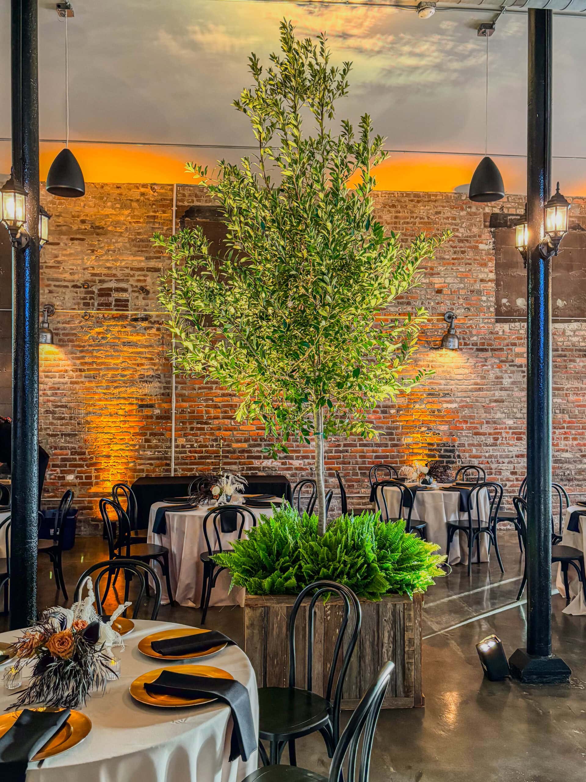 Black_Vintage_Dining_Chair_Event_Rentals_Jacksonville