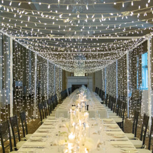 Twinkle Lighting
