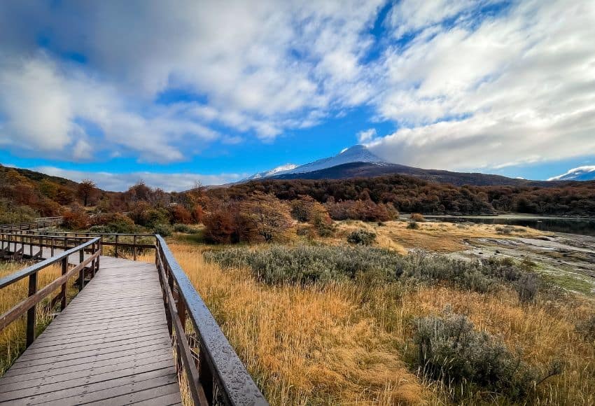 Pasarelas de madera entre la vegetación del Parque Nacional Tierra del Fuego