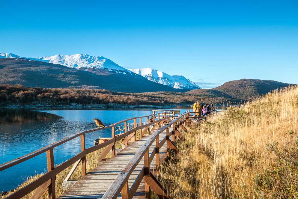 Turista caminando por sendero con pasarela en el Parque Nacional Ushuaia
