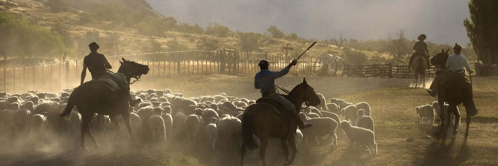 Estancia Nibepo Aike, día de campo dentro del Parque Nacional, El Calafate