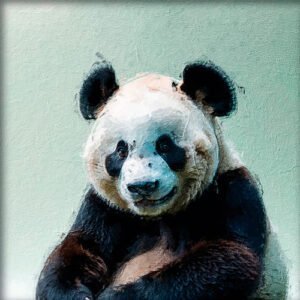 Pintura al Oleo de un Oso Panda