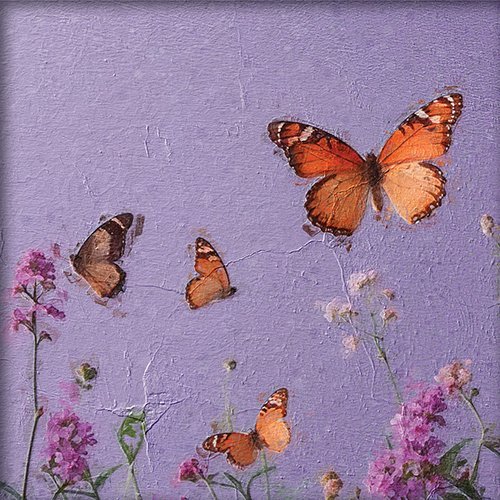 Mariposas volando sobre flores