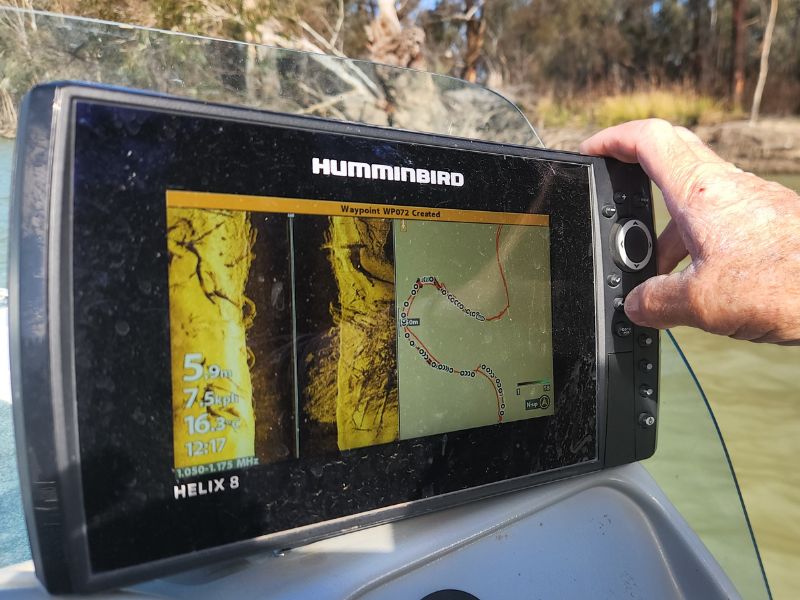 High-frequency Humminbird sonar image showing fish habitat structure and Murray Cod sheltering in a Fish Hotel on the Murray River near Renmark, South Australia.