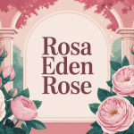 illustration rosa eden rose rosier grimpant fleurs roses jardin