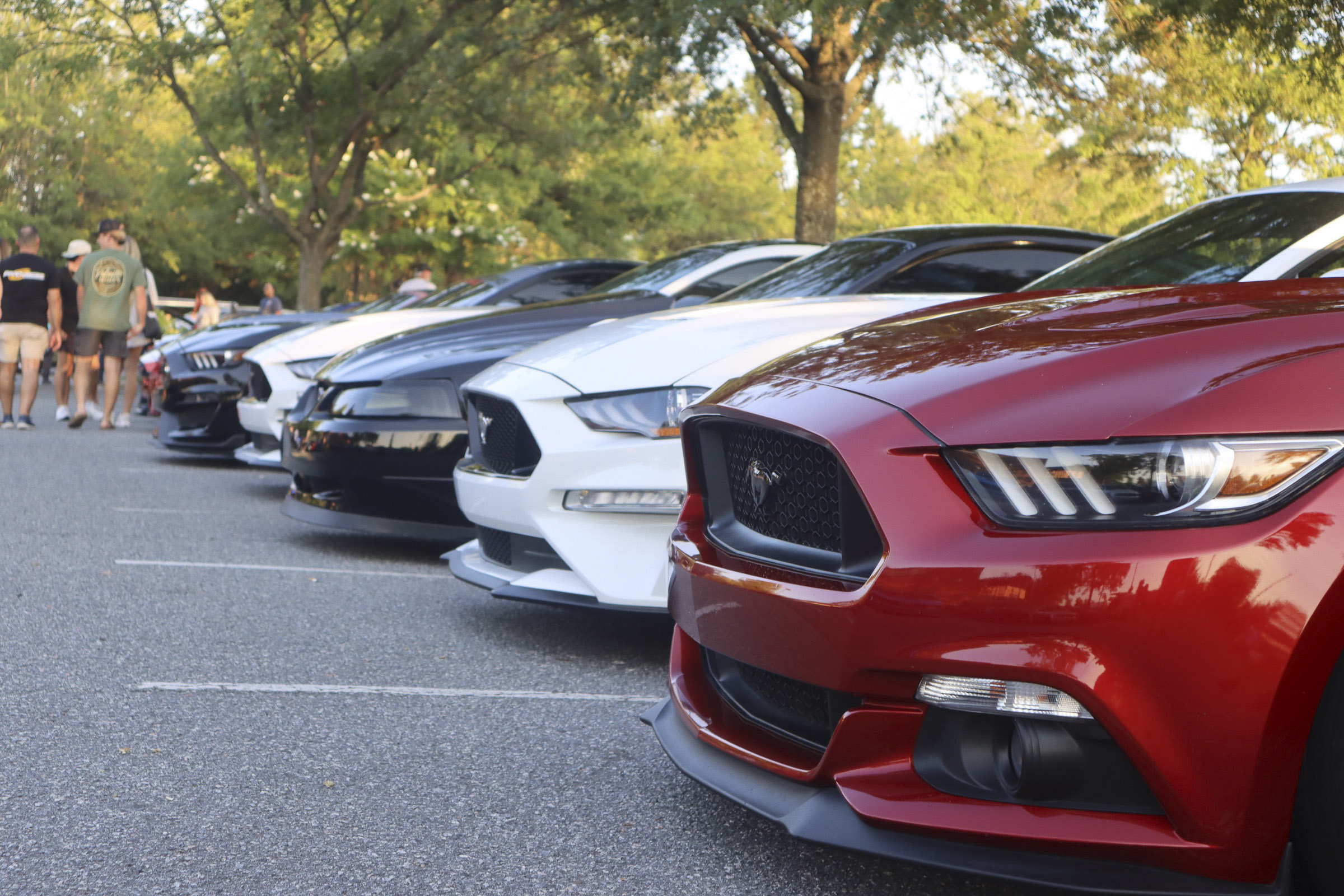 Lineup of Ford Mustangs at Mustang Week car show in Charlotte 2026.