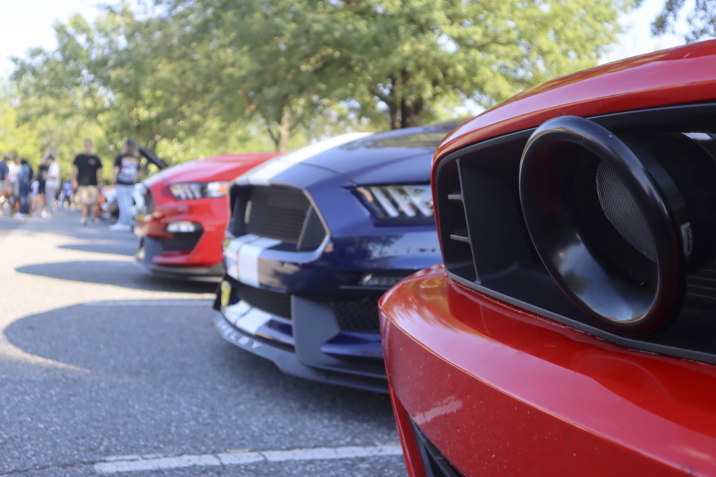 Lineup of Ford Mustangs at Mustang Week car show in Charlotte 2026.