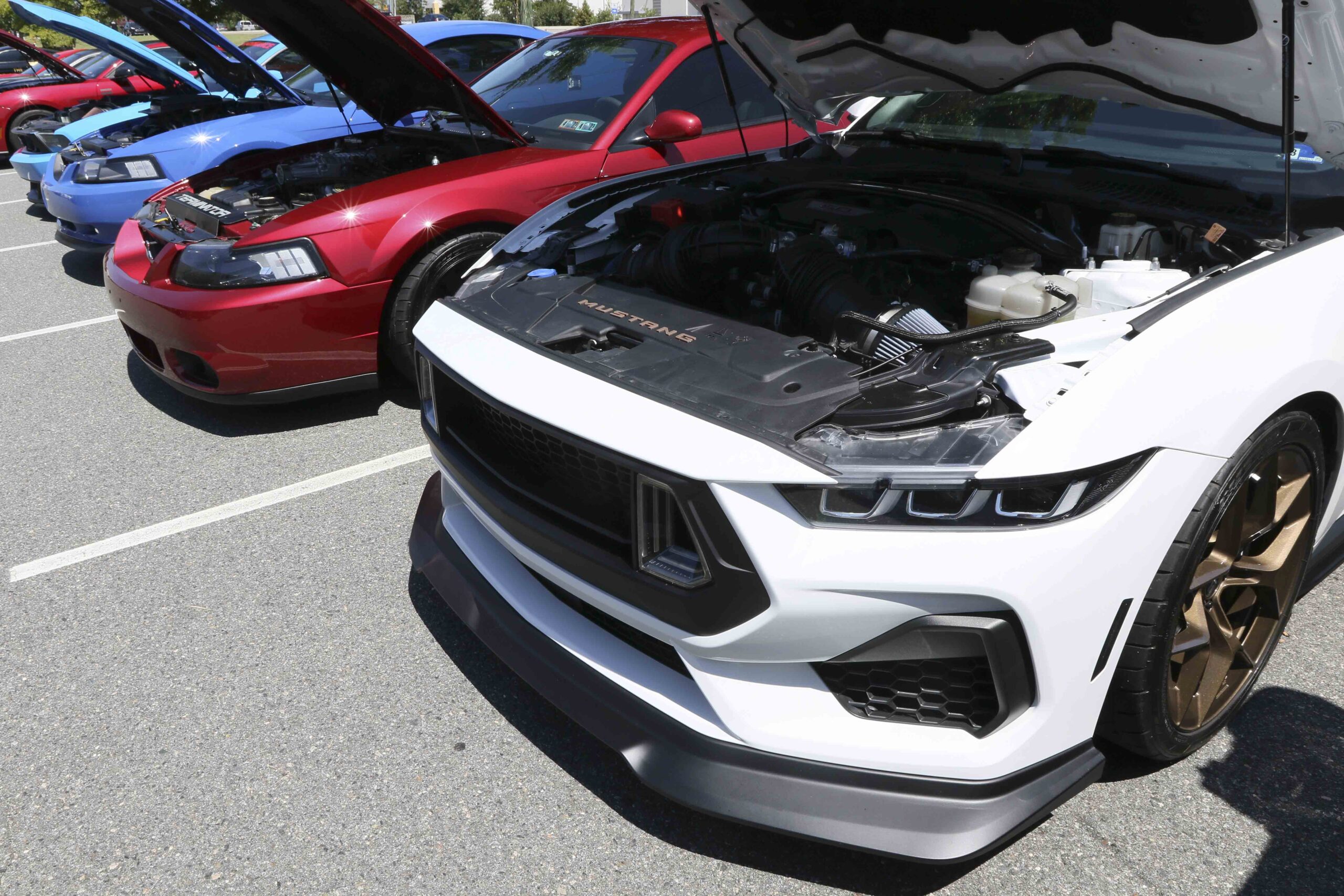 Lineup of Ford Mustangs at Mustang Week 2026 car show.