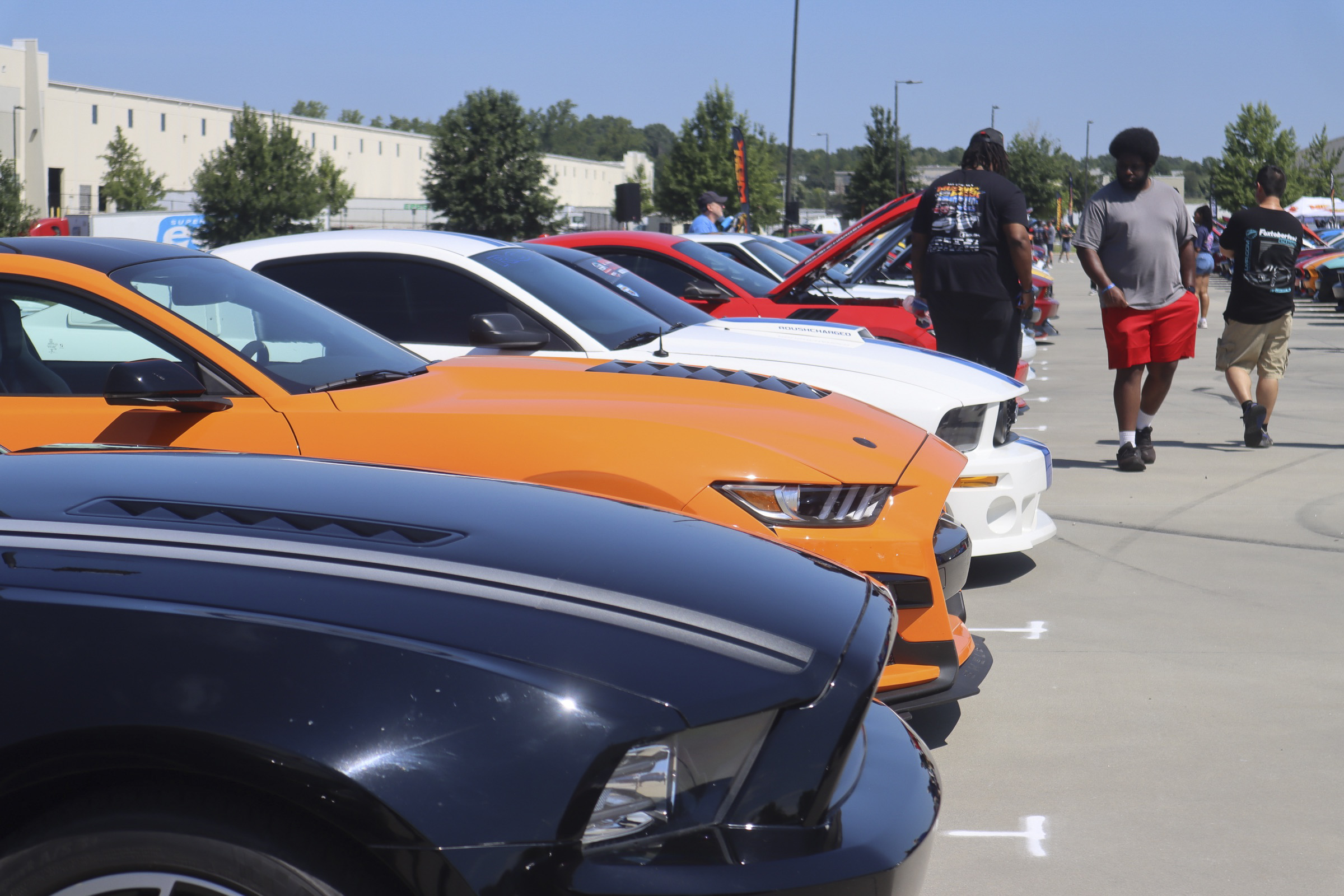 Lineup of Ford Mustangs at Mustang Week car show in Charlotte 2026.