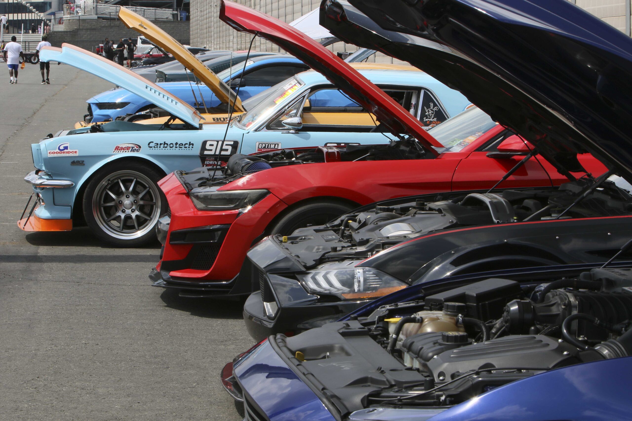 Lineup of customized Ford Mustangs at Mustang Week 2026 in Charlotte.