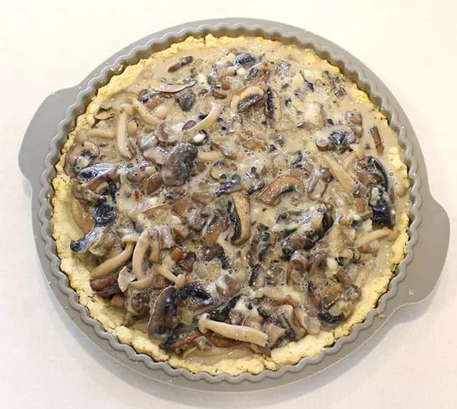 הקיש הולך לתנור