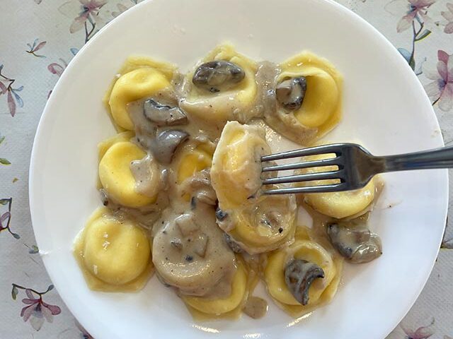 Homemade ravioli in mushroom and cream sauce