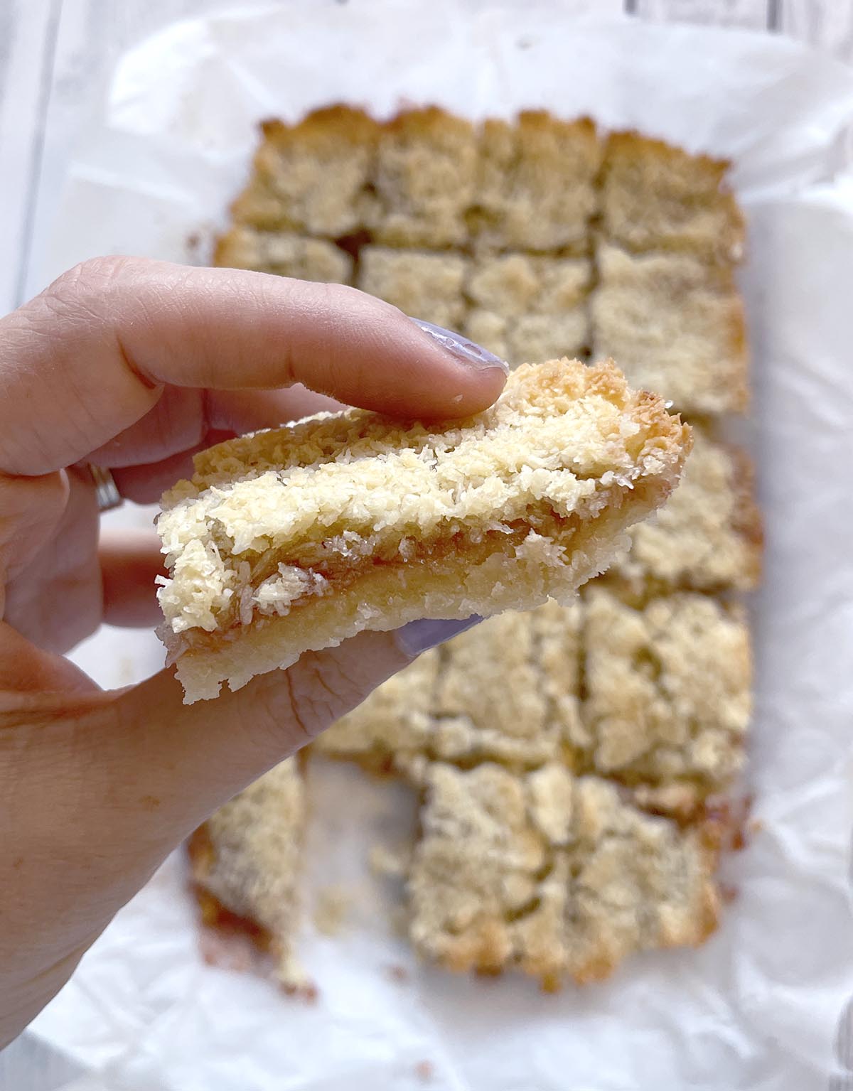 חיתוכיות ריבה וקוקוס חיתוכיות ריבה וקוקוס